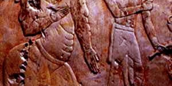 Queen Of Punt Syndrome