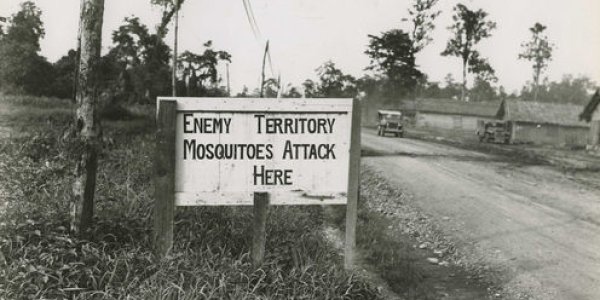 Climate Change Is Not The Biggest Risk To Global Health