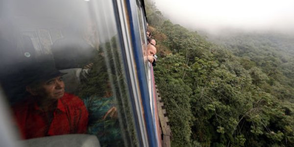 How To Save Brazil’s Atlantic Forest On A Shoestring Budget