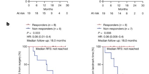 Personalized Medicine Pilot Study: Pancreatic Cancer Vaccine Leaves Half Cancer-Free 18 Months Later