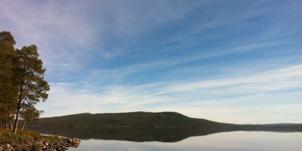 Citizen Science Then And Now. Want To Play The Game?