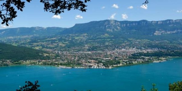 ECFA Workshop: Planning For The High Luminosity LHC