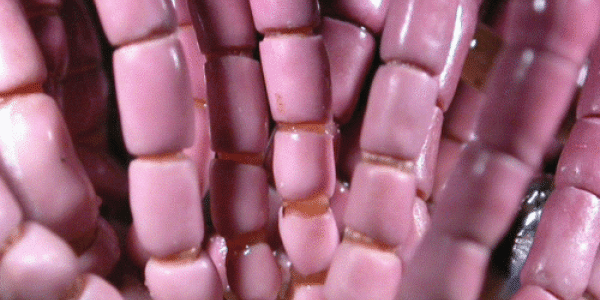 Lignin In Seaweed May Mean A Billion-Year Revision Of Plant Evolution Timeline, Say Researchers