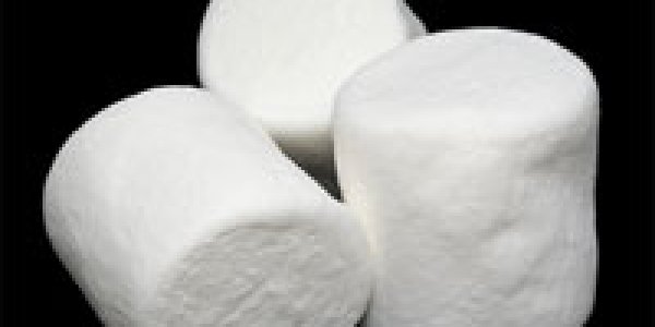 The Marshmallow Test: How 4-year-olds Can Help Elucidate Willpower