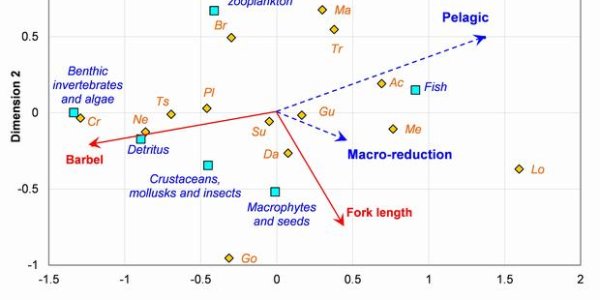 Ecological Niche Visualized: 14 Fish Get A Four-Dimensional Food Diagram