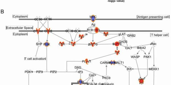 Epigenetics Of Being Without Electricity For A Few Days