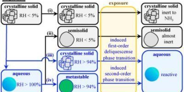 Liquids And Jellies: Atmospheric Particles Resist Chemical Aging, Form Clouds