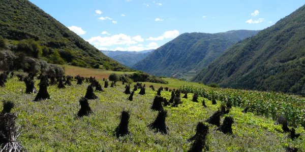 Cold Case Tibet: Climate Change Implicated In Collapse 4,000 Years Ago