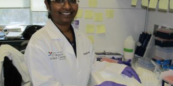 Link Found Between Insulin Sensitivity And Mitochondria