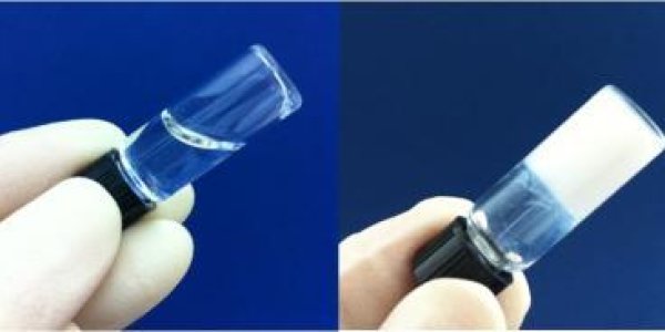Hydrogel Scaffold Goes From Liquid To Bone