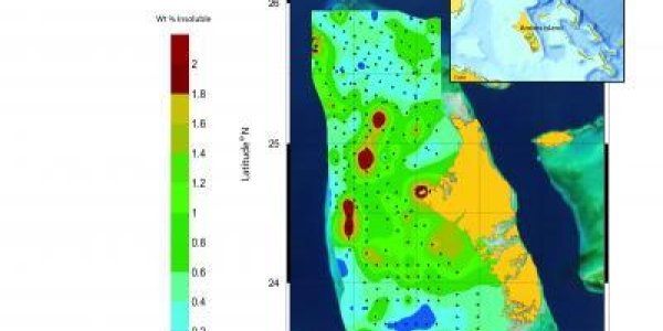 Like The Bahamas' Great Bank? Thank Dust From The Sahara