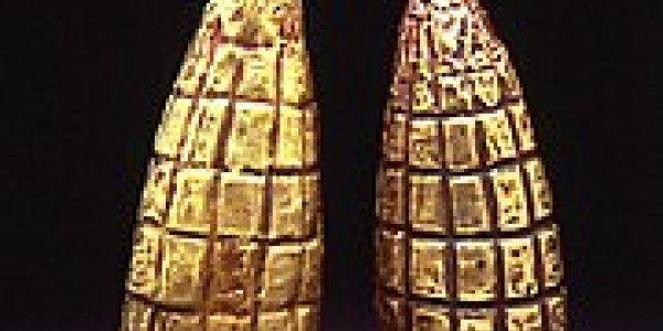 A'maize'ing Genome Gems?