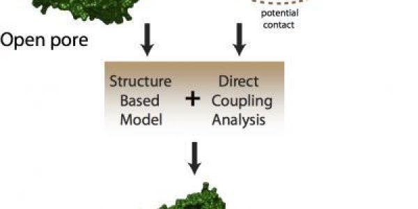 Big Data Tackles Tiny Molecular Machines