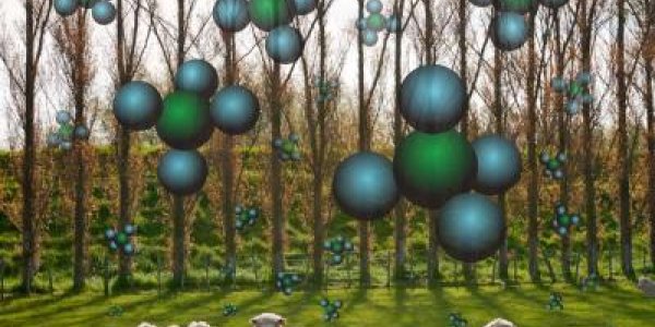 Methane Emissions - Blame Sheep Guts