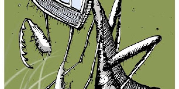 Lâminas, insectos e F1