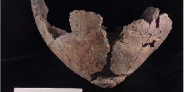 Fishy Cooking Habits Of North American Hunter-gatherers