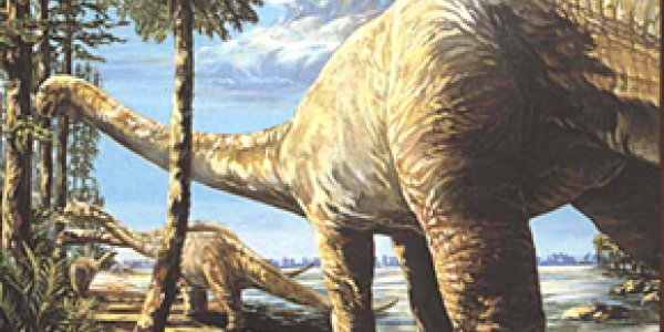 Oops - Official State Dinosaur Of Texas Needs A New Name