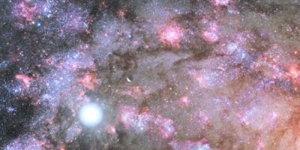Dense Galactic Core Shows Early Construction Of Giant Galaxy