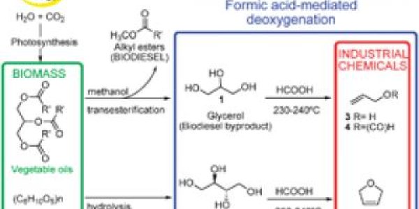 Biomass Gets An Extreme Makover, Thanks To Chemistry