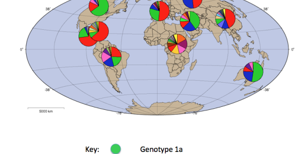 When And How To Treat Hep C: No Simple Answer.