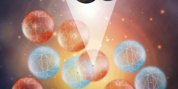 Protons Hog The Momentum In Neutron-rich Nuclei