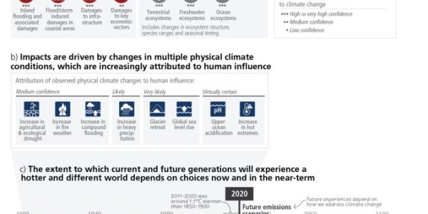 UN Sequel To 'Humanity Has Become a Weapon of Mass Extinction' Premieres In Switzerland