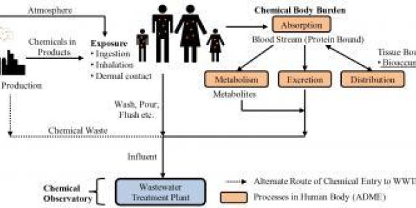 Sludge As New Sentinel For Human Health Risks