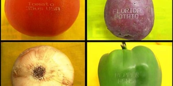 Can apples have tramp stamps?