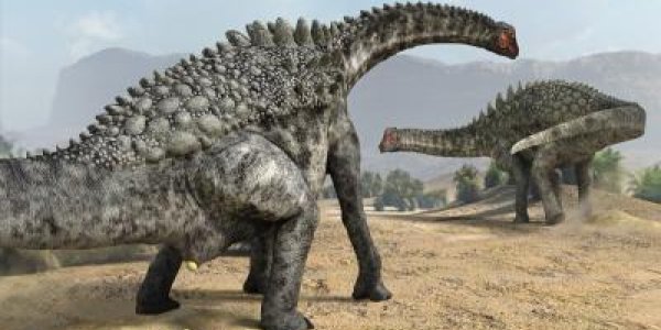 Coll De Nargó: 4 Dinosaur Egg Species Identified