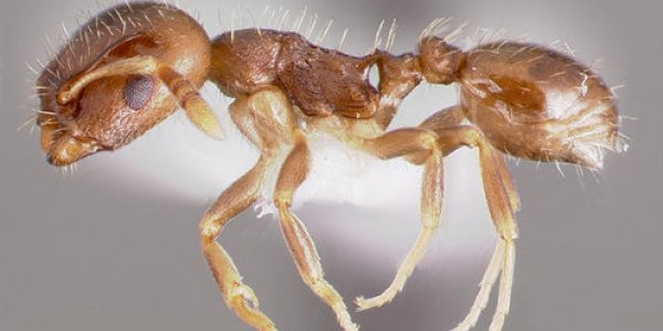 Masters And Slaves: Locked In A Deadly Relationship