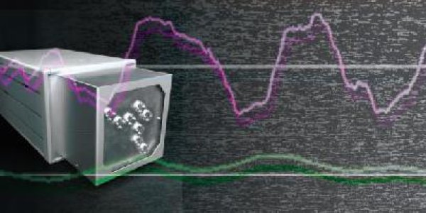 Fitbit Extreme: Catching Heartbeats With Millimeter-Wave Radar From A Distance