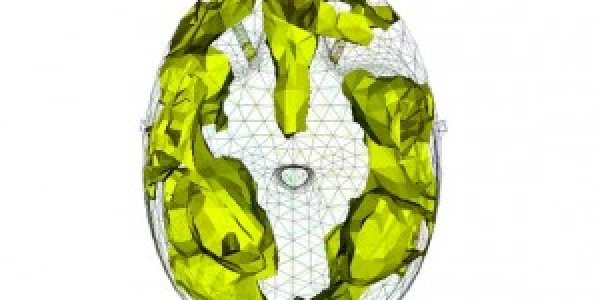 A Live View of Unconsciousness