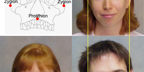 Did Men's Faces Evolve To Be More Attractive To Women?