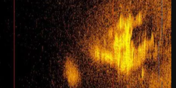 Deep Sea Vision Thinks They Found Amelia Earhart's Plane