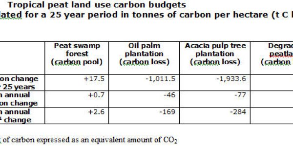 The Palm Oil Impact On Peatlands: A Rise In CO2