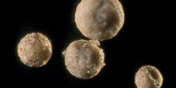 Iberulites - New Atmospheric Aerosol From Deserts Implicated In Climate Change