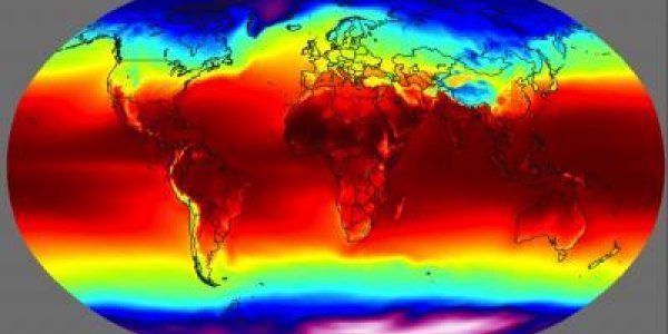 In Plants, Size And Age Impact Productivity More Than Climate And Rain - Study