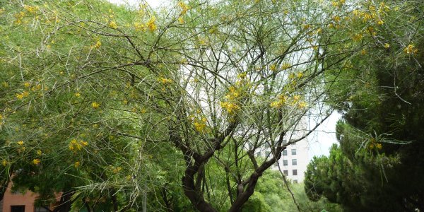 What makes a rich continent