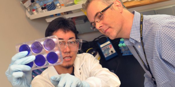 This Asian Herb Could Hold The Secret To Treating Ebola