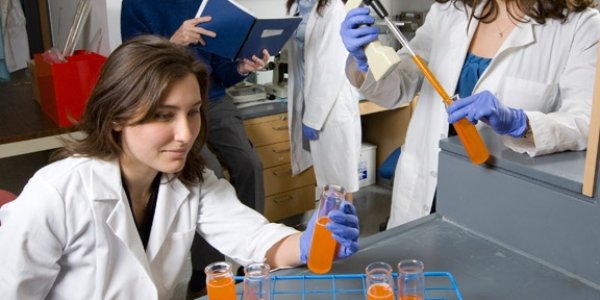 Sugary Beverages In Adolescence Impair Memory