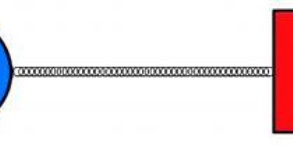 Cyclosporine And Tacrolimus Combination Proves Effective In The Treatment Of Multiple Sclerosis