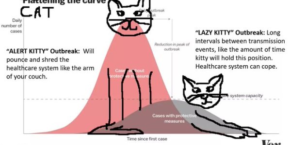 #Catteningthecurve To Create Coronavirus Transmission Prevention Awareness