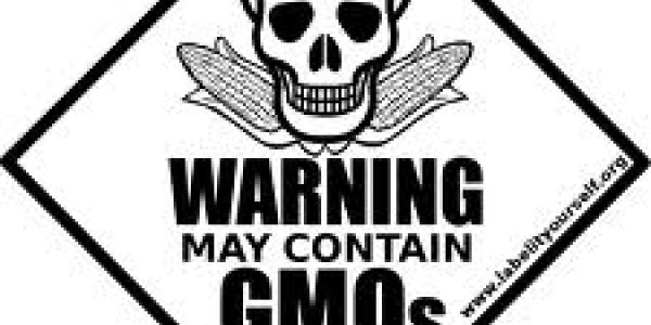 Food Fear, Food Labels, And My Two Cents