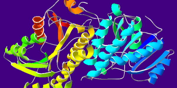 Alcohol In China And Enzyme Evolution
