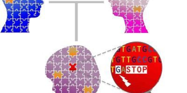 Uncovering Clues To The Genetic Cause Of Schizophrenia