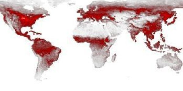 'Green Revolution' Has Changed How The Biosphere Breathes