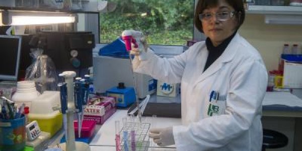 Alcohol Leaves Its Mark On Youngsters' DNA