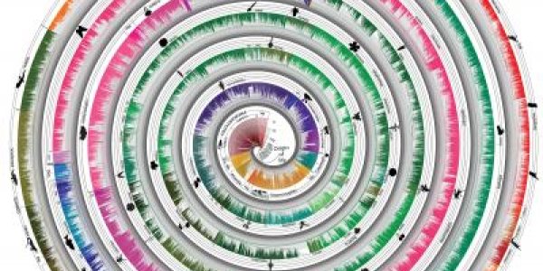 Grand Tree Of Life: Clock-like Trend In New Species Emergence And Diversity