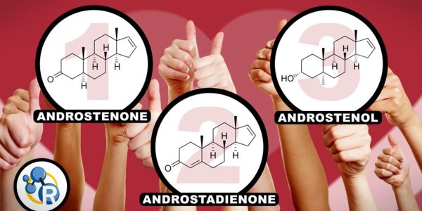 Love At First Smell: Maybe Pheromones Can Get You A Date This Weekend