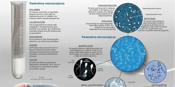 Evolving Poor Sperm? Semen Quality Of Young Men In Spain Down 38 Percent